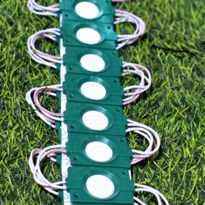 ليزر ليرة اخضر