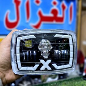 قلب ليد برت جمجمه عادي