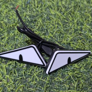 بصاص عيون لد