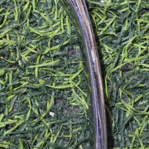 اصبع دبرياج نكل عوام