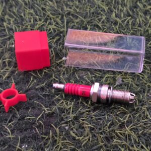 بوجي ٣ راس علبة بلور