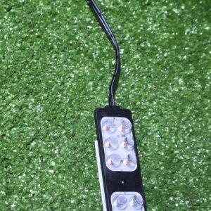 ليزر فيدرالي