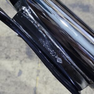 اشتمان سمكة اصلي