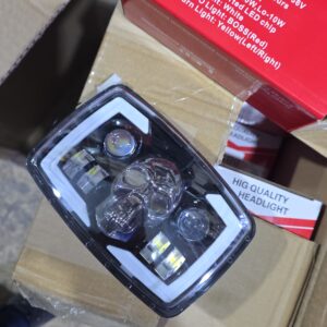 قلب برت جمجمه كبيرة 1682