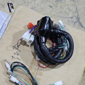 شبكة دلتا كامله