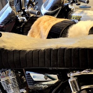 فرش فرو بني